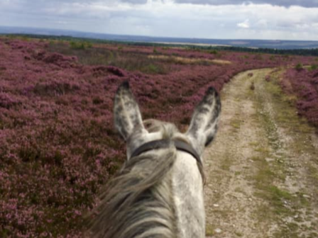 Family Riding North Yorkshire